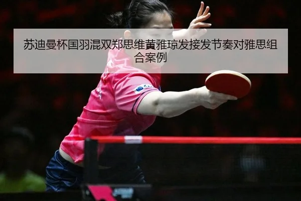 su-di-man-bei-guo-yu-hun-shuang-zheng-si-wei-huang-ya-qiong-fa-jie-fa-jie-zou-dui-ya-si-zu-he-an-li-2-658.jpg